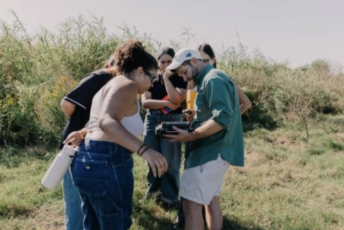 Bline in the field 2