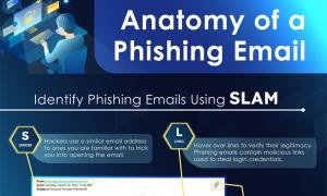 phishing graphic 800x600